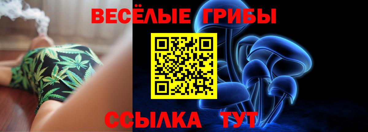 Псилоцибиновые грибы мицелий  Псилоцибиновые грибы Cubensis  Вход с VPN  Новый Уренгой 
