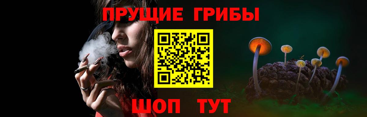 Псилоцибиновые грибы ЛСД Новый Уренгой